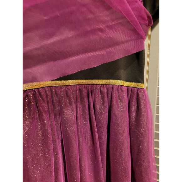 Disney Frozen II Exclusive Anna Cosplay Dress With Cape- Size L/ 10-12 - Picture 5 of 7